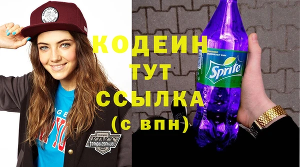 первитин Инта