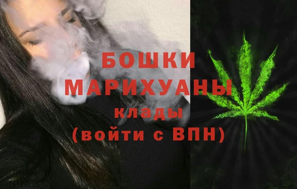первитин Инта