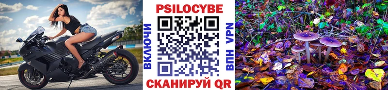 Галлюциногенные грибы ЛСД Купить где Нюрба